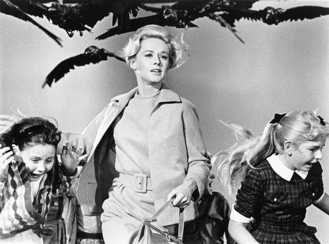 Tippi-Hedren-The-Birds-Alfred-Hitchcock